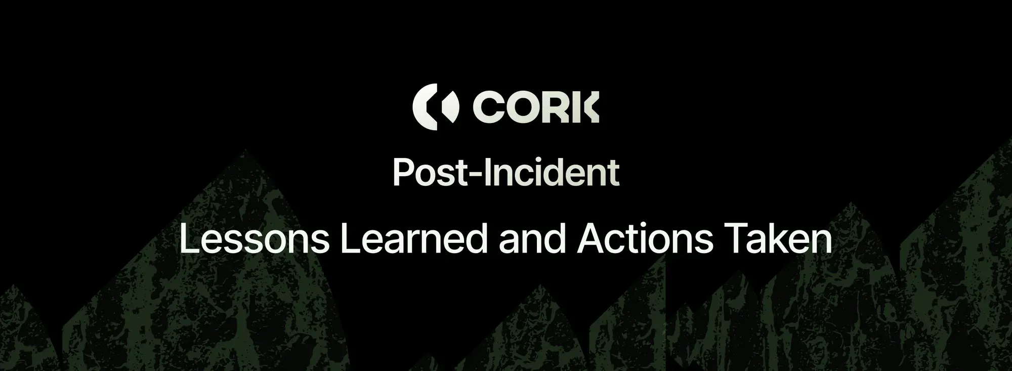 Post-Incident: Lessons Learned and Actions Taken